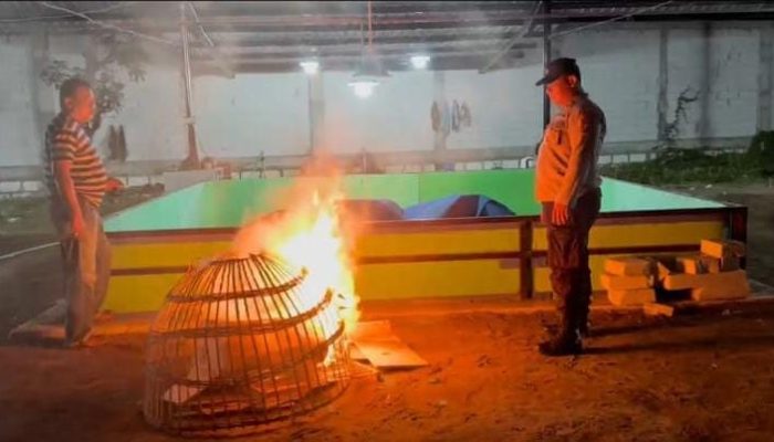 Polsek Candi Bongkar Sarana Sabung Ayam di Desa Klurak