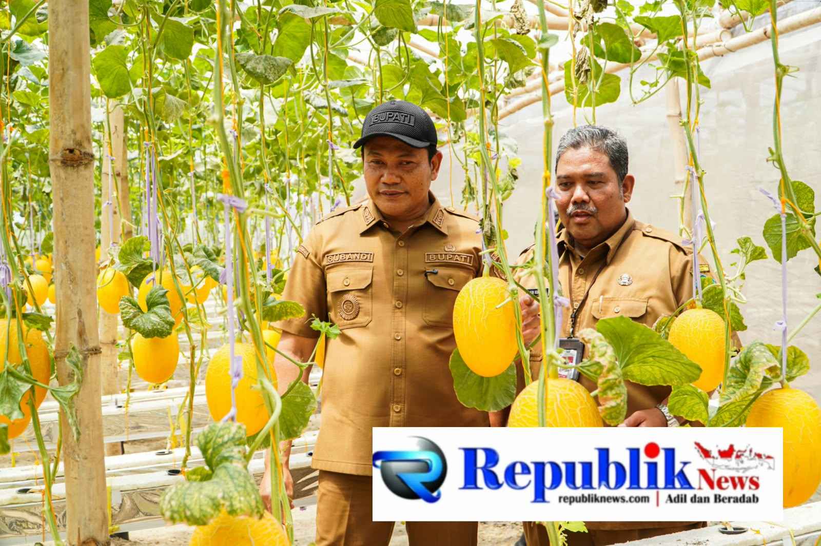 Foto : Bupati Sidoarjo,H.Subandi resmikan wisata petik melon.