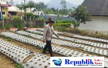 Polsek Nongkojajar Dukung Ketahanan Pangan Nasional, Pantau dan Rawat Tanaman Bawang Putih di Desa Tlogosari