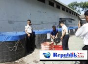 Foto: lapas Sidoarjo panen lele 35 kg