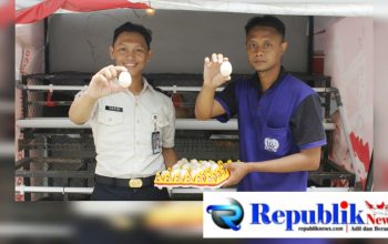 Lapas Sidoarjo Panen Telur Setiap Hari Dukung Program STAR Proaksi Kemenimipas