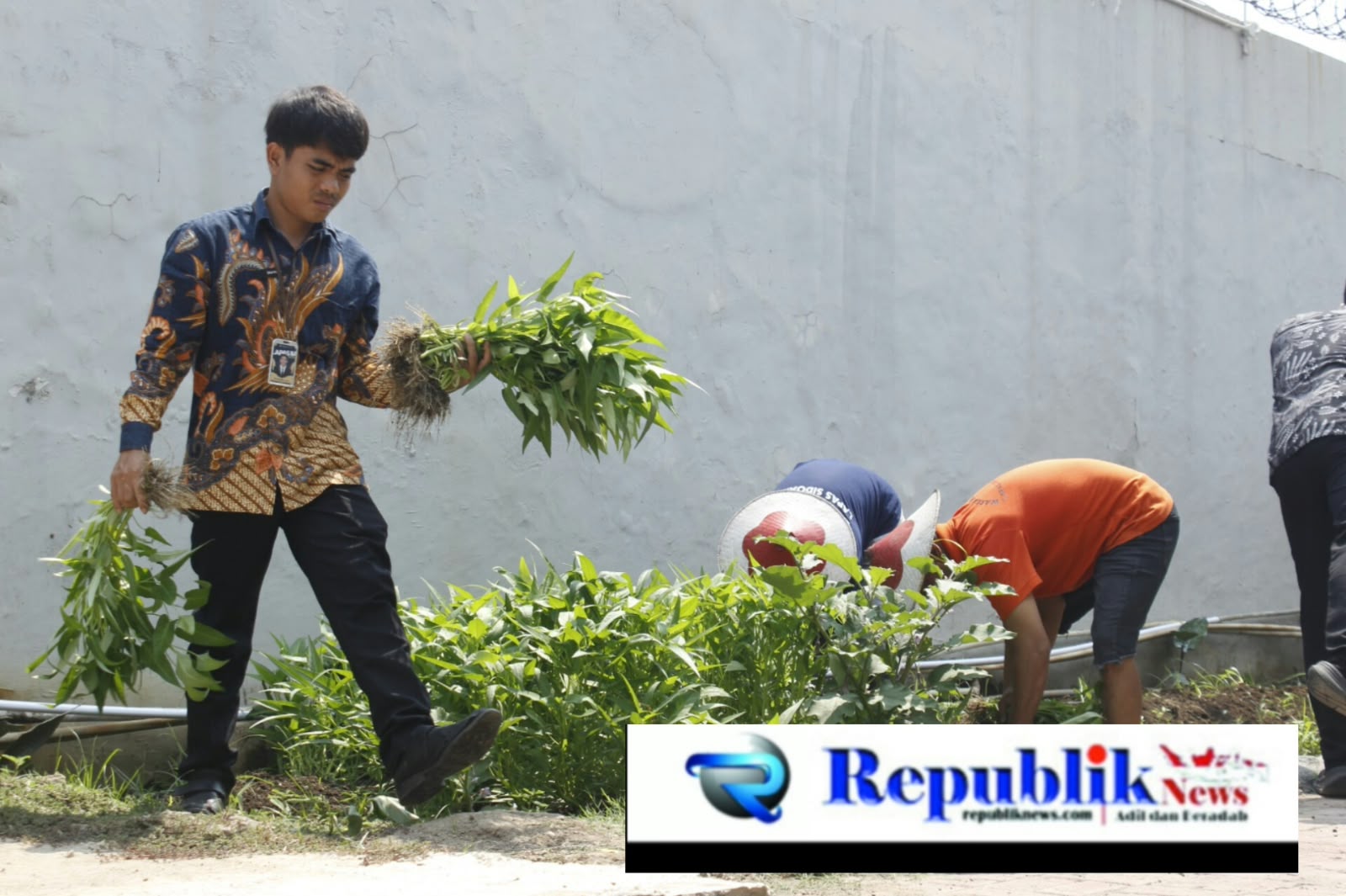 Foto: Lapas Sidoarjo panen kangkung.