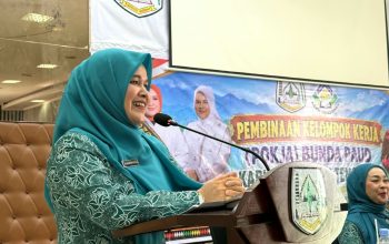 Dorong PAUD Berkualitas, Mukarramah Fadhlullah Tekankan Penguatan Pokja Bunda PAUD Aceh Tenggara